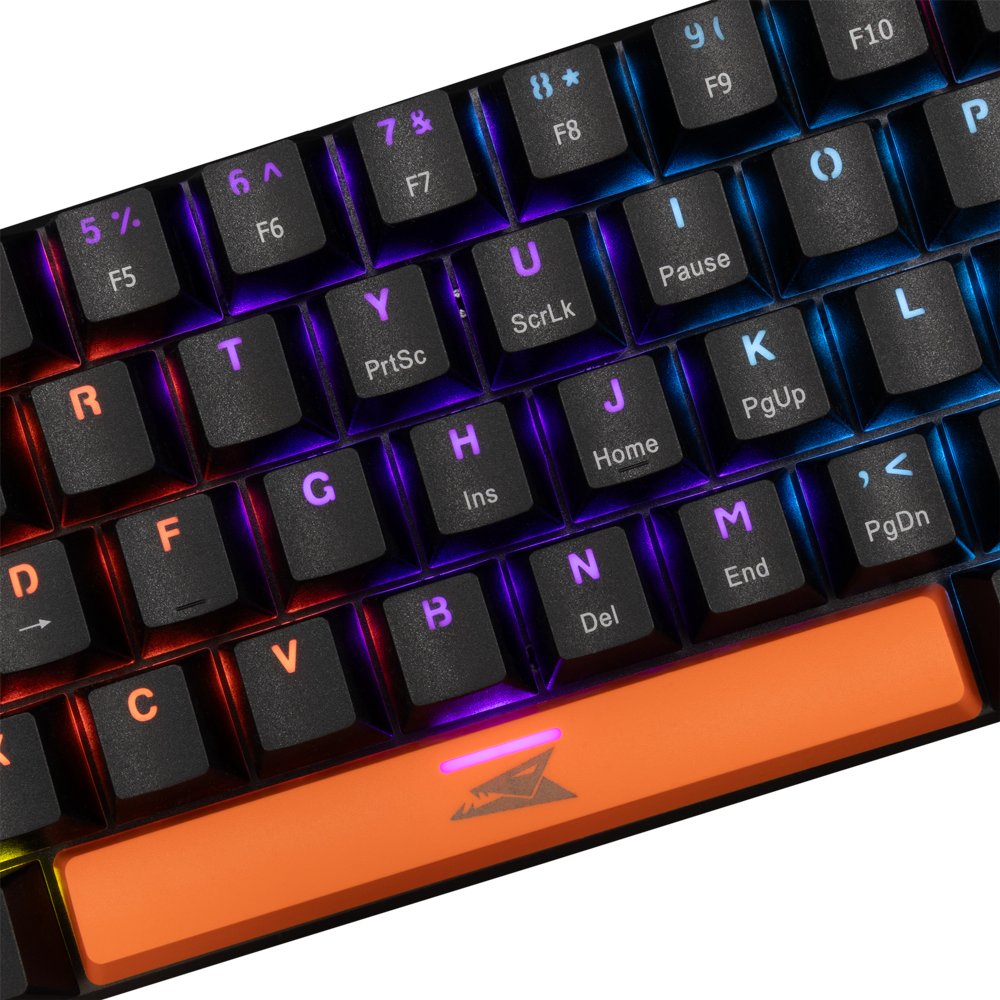 Baracuda DOLPHIN RGB 60% | Bedraad Gaming Toetsenbord | Blue Switches | Anti-Ghosting | QWERTY | Zwart – 2 Baracuda DOLPHIN RGB 60% | Bedraad Gaming Toetsenbord | Blue Switches | Anti-Ghosting | QWERTY | Zwart – 2