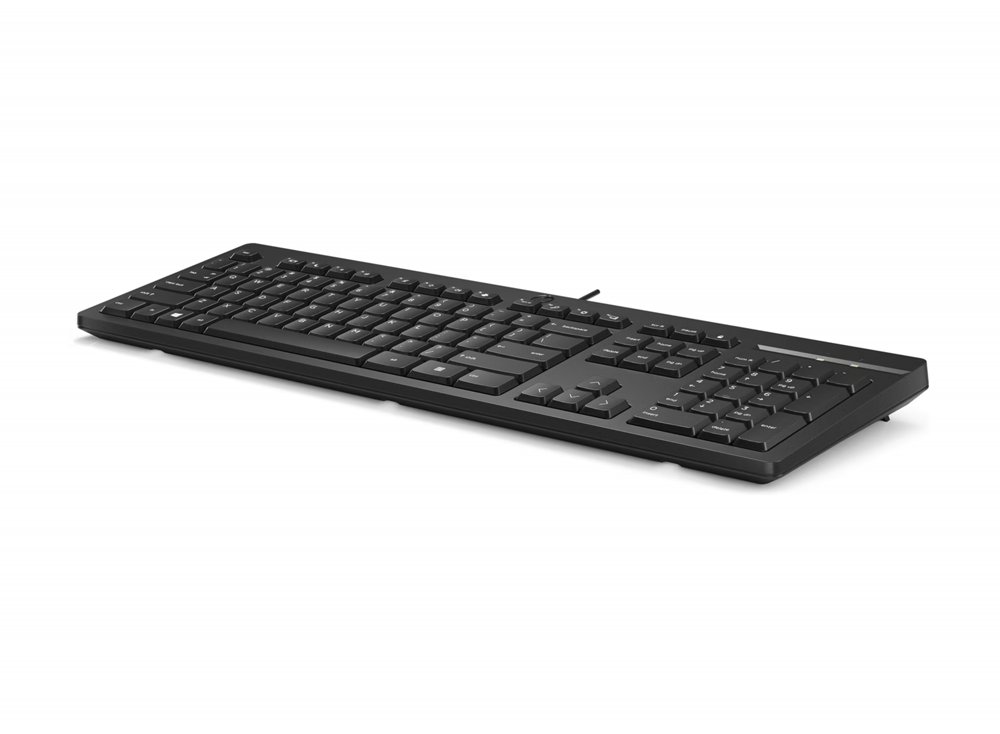 HP 125 | Bedraad Toetsenbord | USB | QWERTY US International | Zwart – 3 HP 125 | Bedraad Toetsenbord | USB | QWERTY US International | Zwart – 3