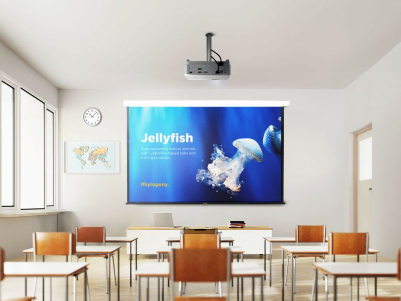 79b0942735856662266780e3fa4a330aca6cd732